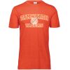 3065 Adult Extra Soft Tri-Blend T-Shirt Thumbnail